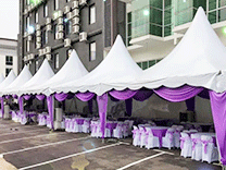 Canopy 1