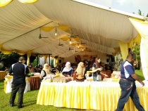 Canopy 2